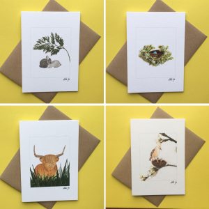 Spring Greetings Cards - Pack of 4