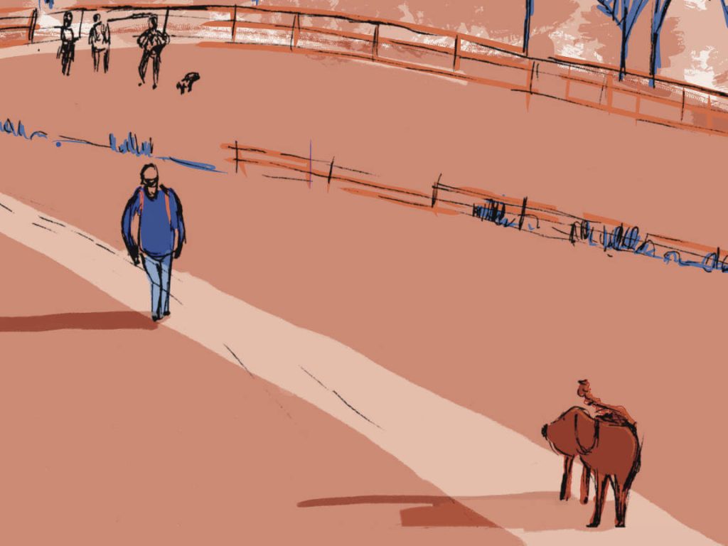 A two-colour illustration in blue and orange of a man walking uphill with his dog, on Charlcombe Valley, Bath, by Nathalie Goss